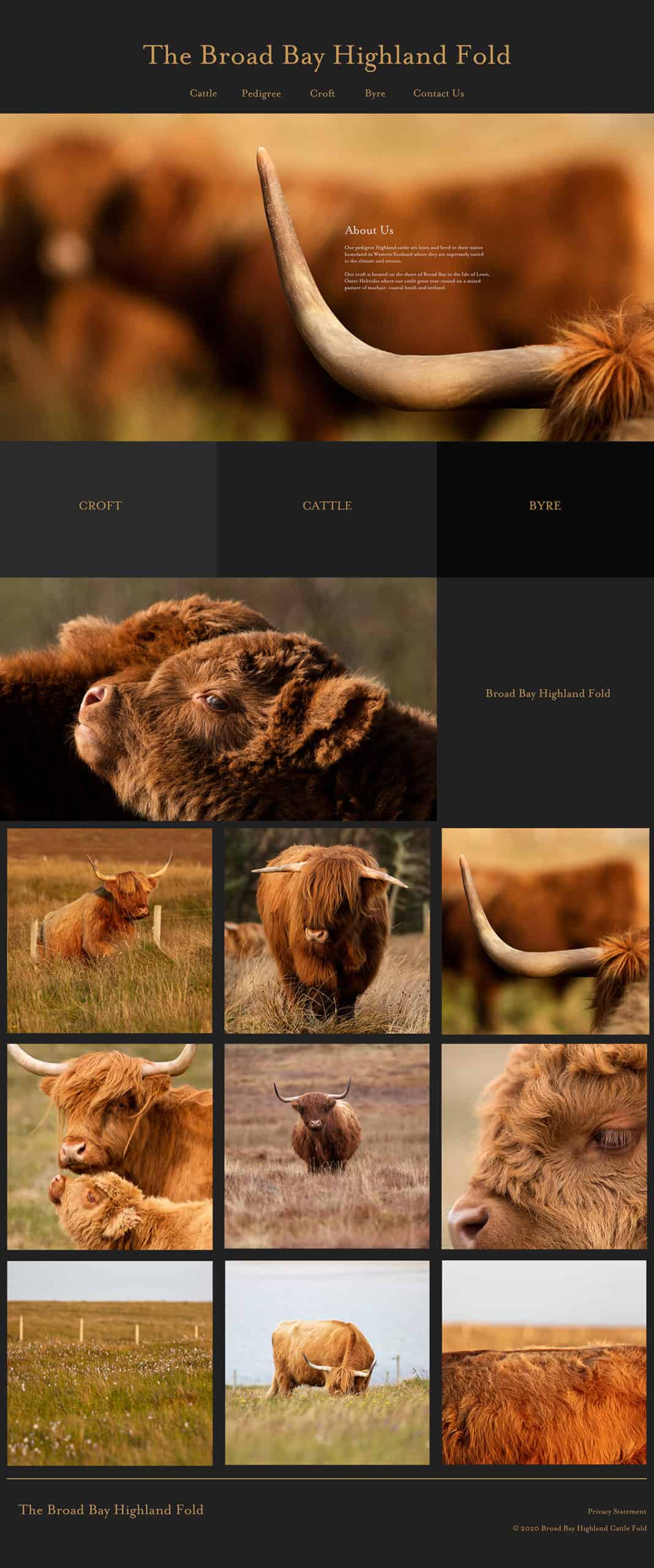 Photography & Website Design by Jade Starmore Photography & Website Design by Jade Starmore