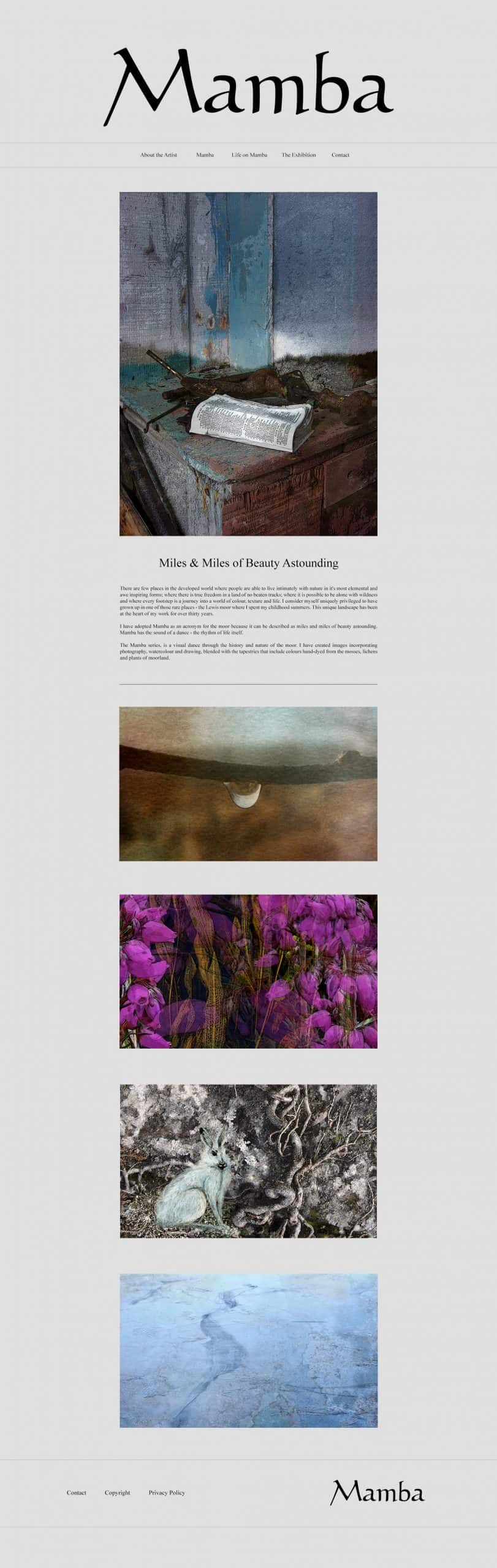 Website Design by Jade Starmore Website Design by Jade Starmore