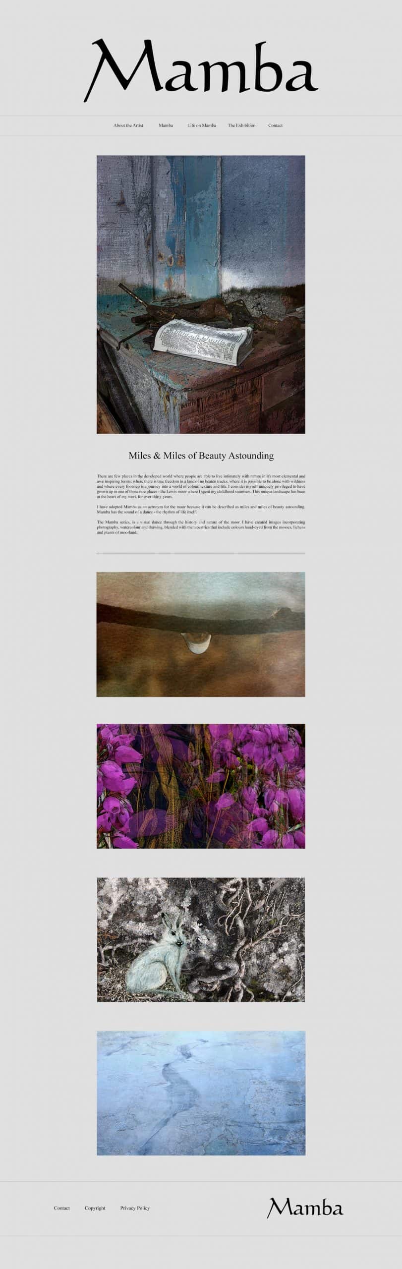 Website Design by Jade Starmore