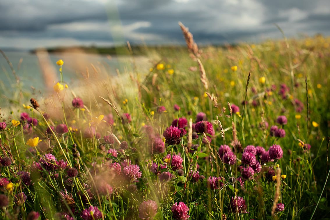 Photography by Jade Starmore