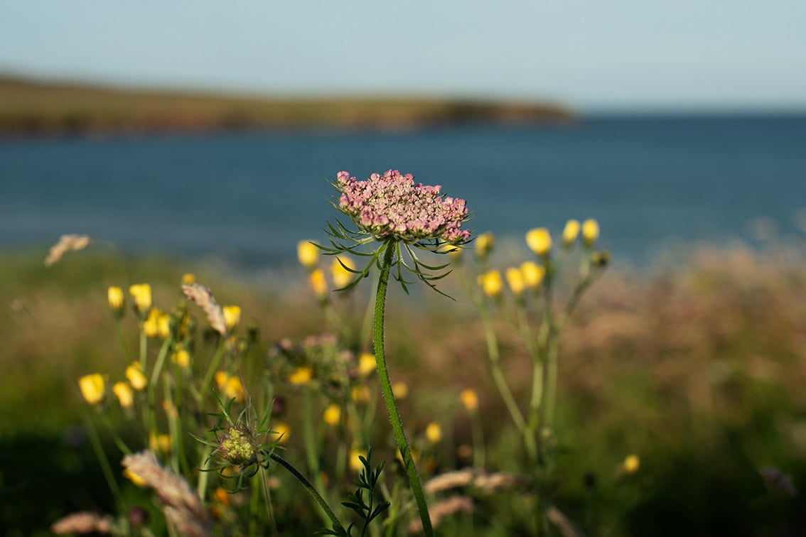 Photography by Jade Starmore